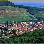 Apartment Avec Terrasse Entre Vignes, Balades, Alsace Guebwiller