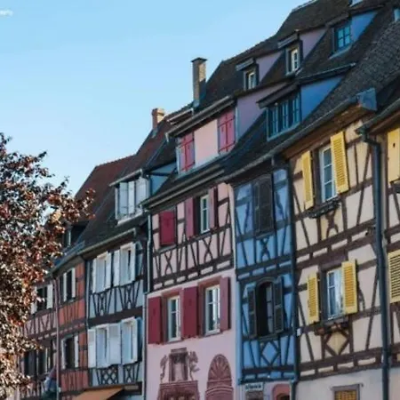 Avec Terrasse Entre Vignes, Balades, Alsace