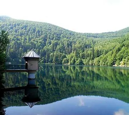 Avec Terrasse Entre Vignes, Balades, Alsace Apartmán Guebwiller
