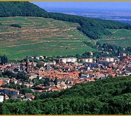 Daire Avec Terrasse Entre Vignes, Balades, Alsace Guebwiller