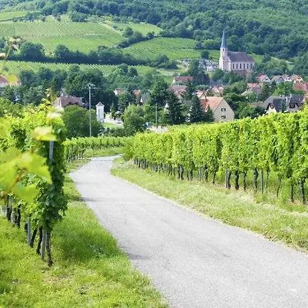 Apartmán Avec Terrasse Entre Vignes, Balades, Alsace Guebwiller