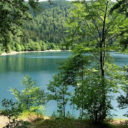 Avec Terrasse Entre Vignes, Balades, Alsace *